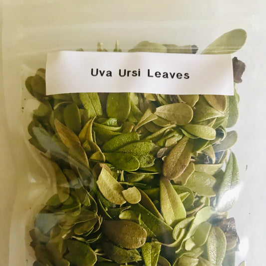 Uva Ursi Leaf, Whole