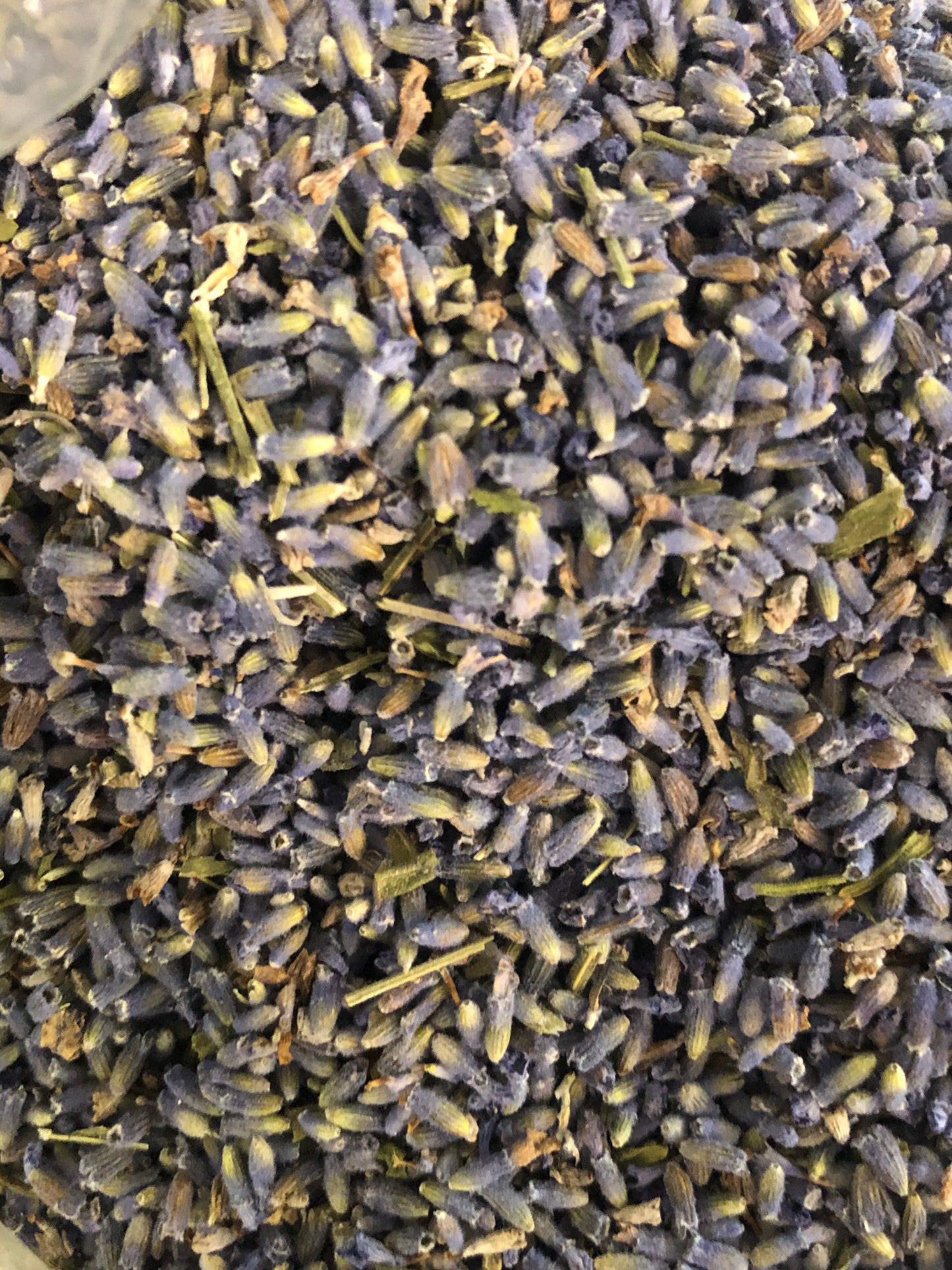 Organic French Lavender Buds