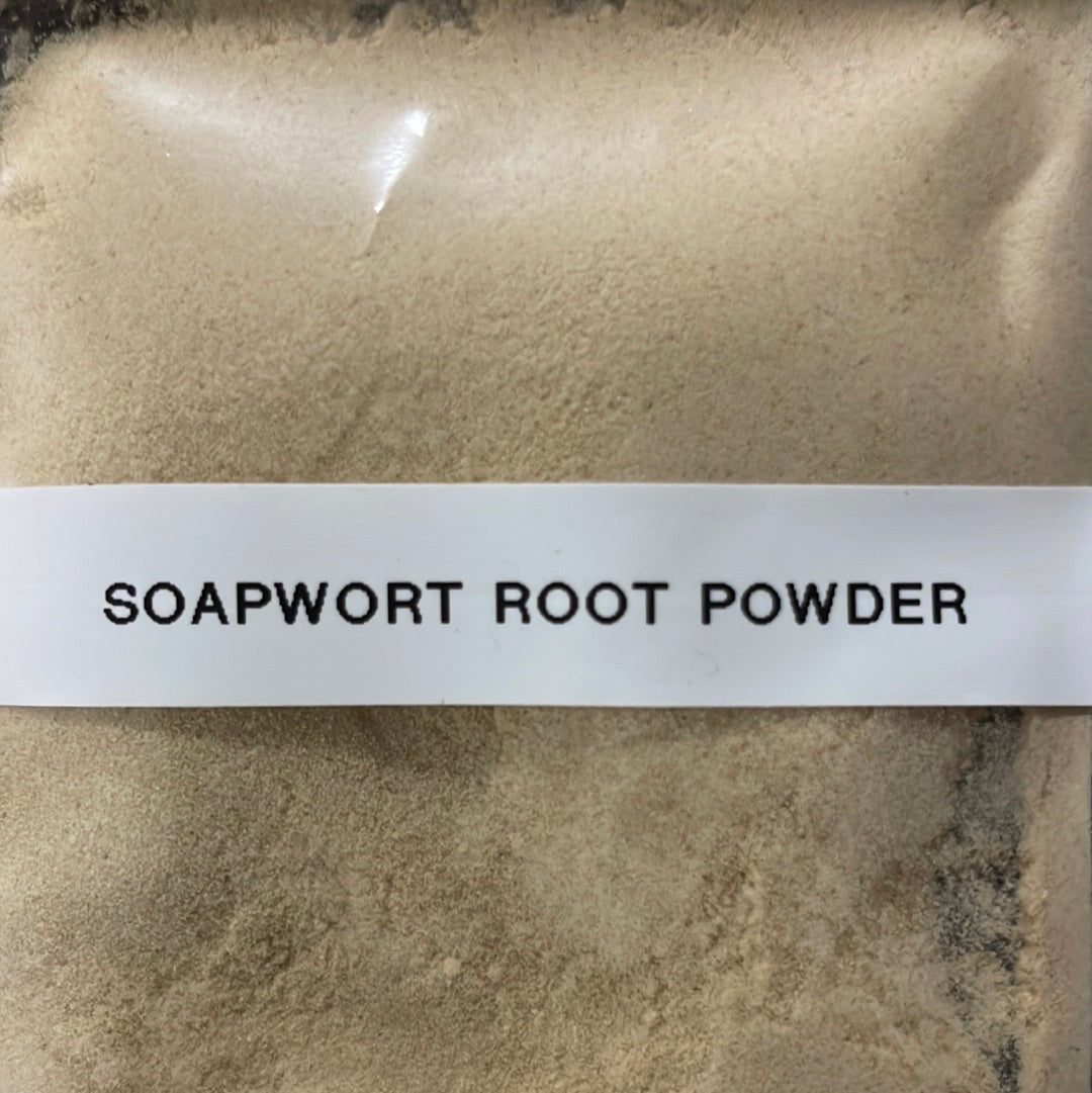 Soapwort Root, Powder